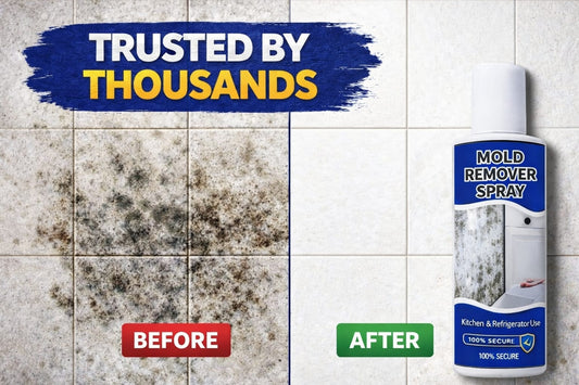 Instant Mold Remover Spray 60ml